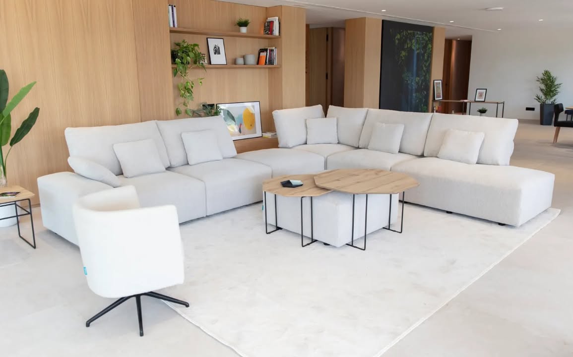 🛋️ Descobreix el sofà TESEO de la firma